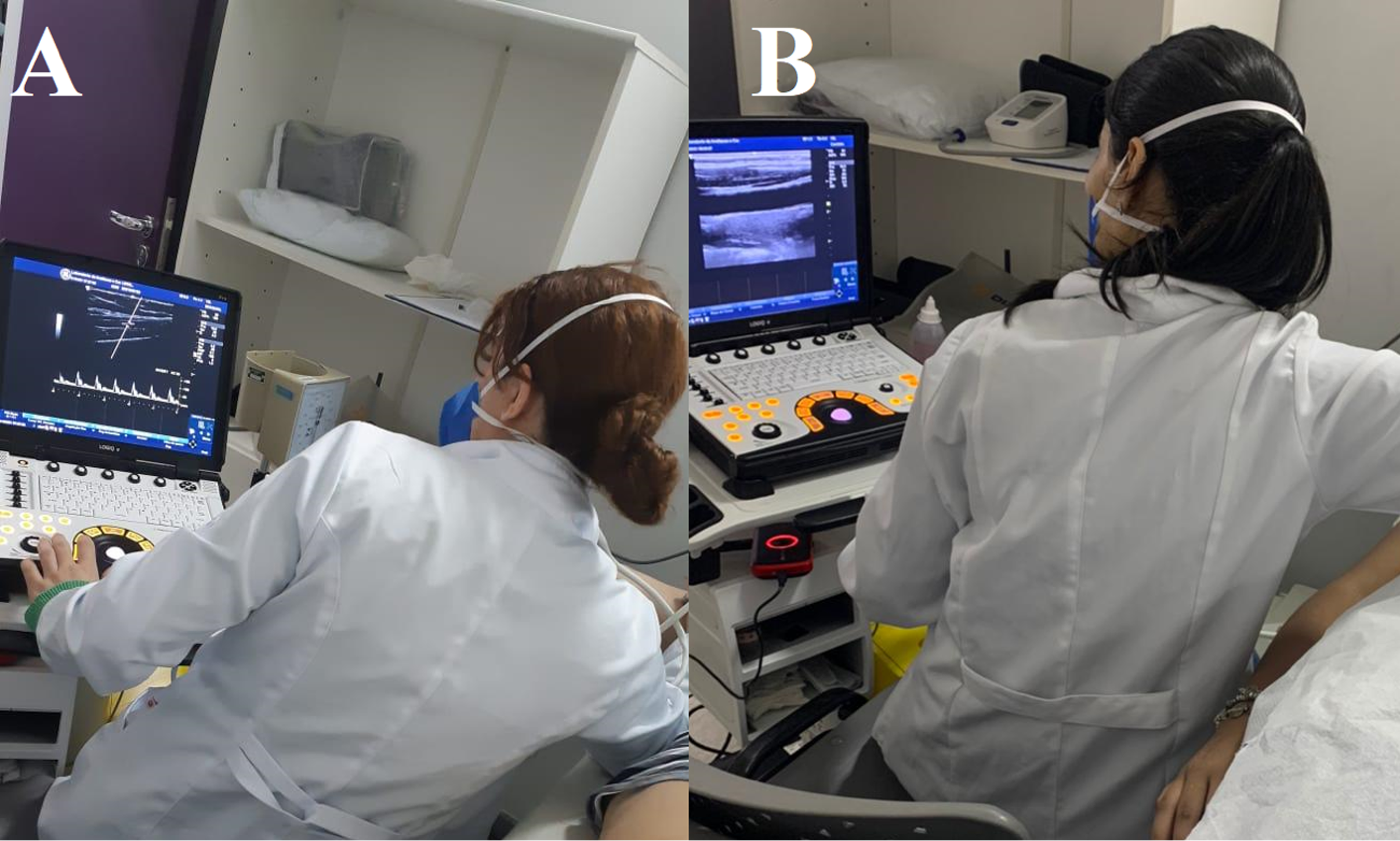 Cardiovascular effects of physical activity and healthy lifestyle in patients with rheumatic and other chronic diseases - University of Sao Paulo – Brazil